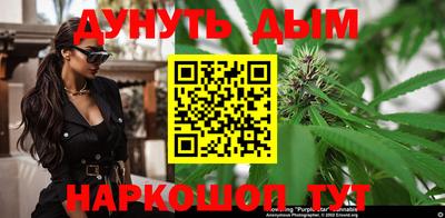 apvp Моздок