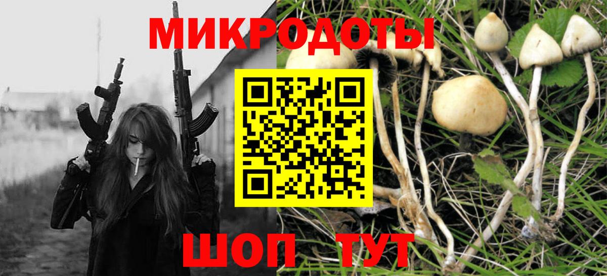 Хабаровск  Псилоцибиновые грибы Cubensis  Псилоцибиновые грибы Magic Shrooms  Вход с VPN 