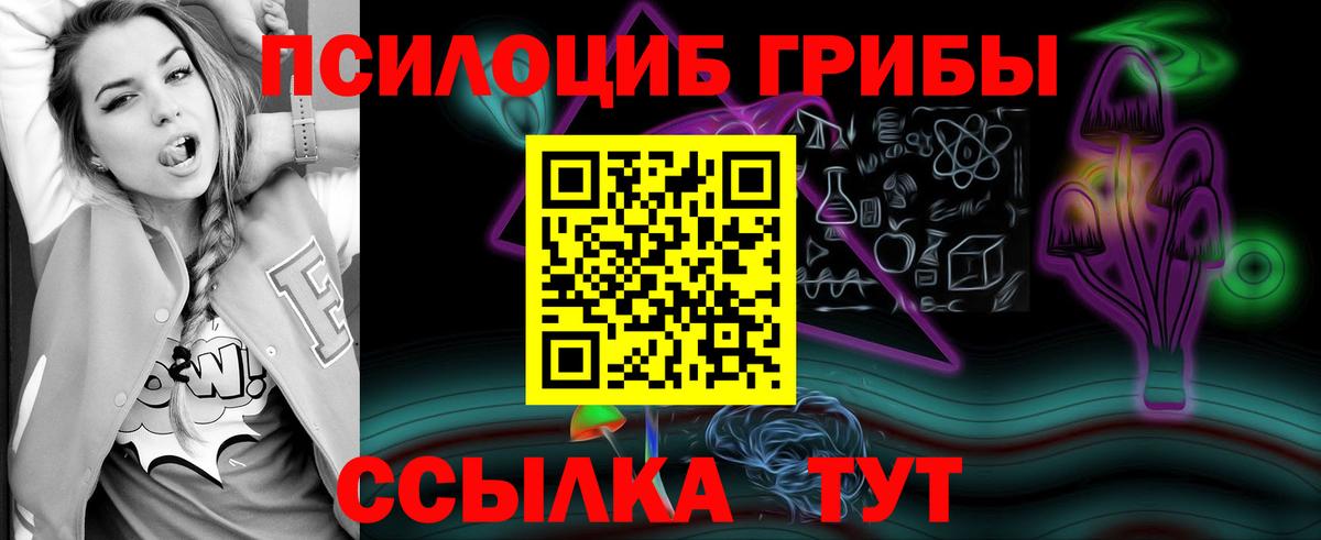 Псилоцибиновые грибы Psilocybine cubensis Хабаровск